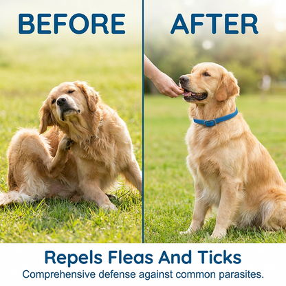 🥳2026 HOT SALE🥳💞50K+ SOLD!🔥Natural Essential Oil Pet Pest Repellent Collar